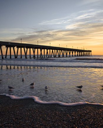 "Morning Birds" Coastal Art by EDA Surf. Morning birds in the glow of Orange sunbeams speckle the waters edge north of Johnny Mercer's fishing pier Wrightsville Beach, North Carolina.