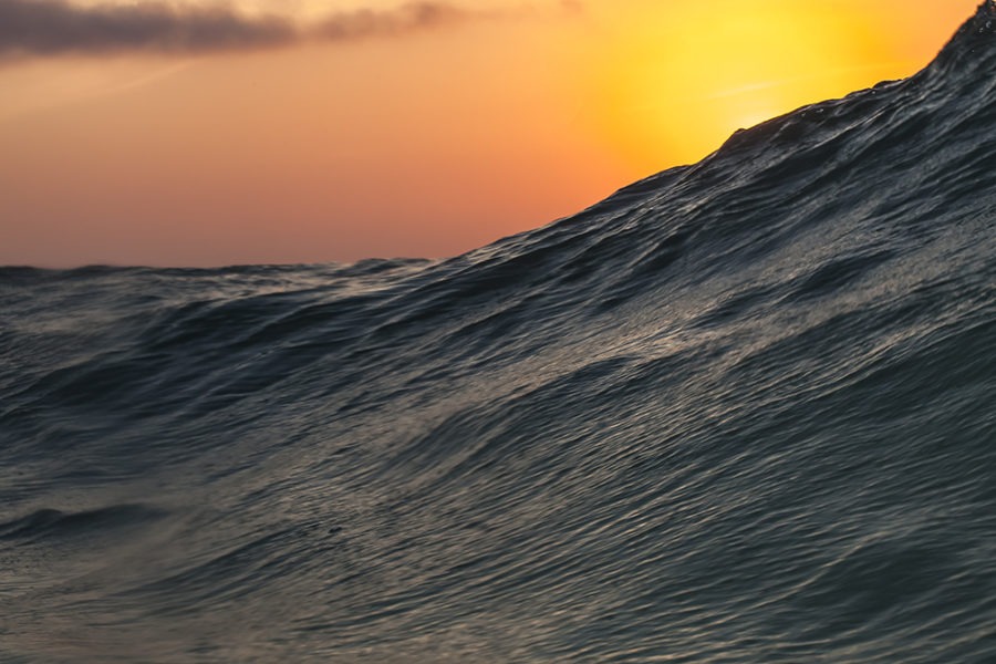 morning sea swell surf art
