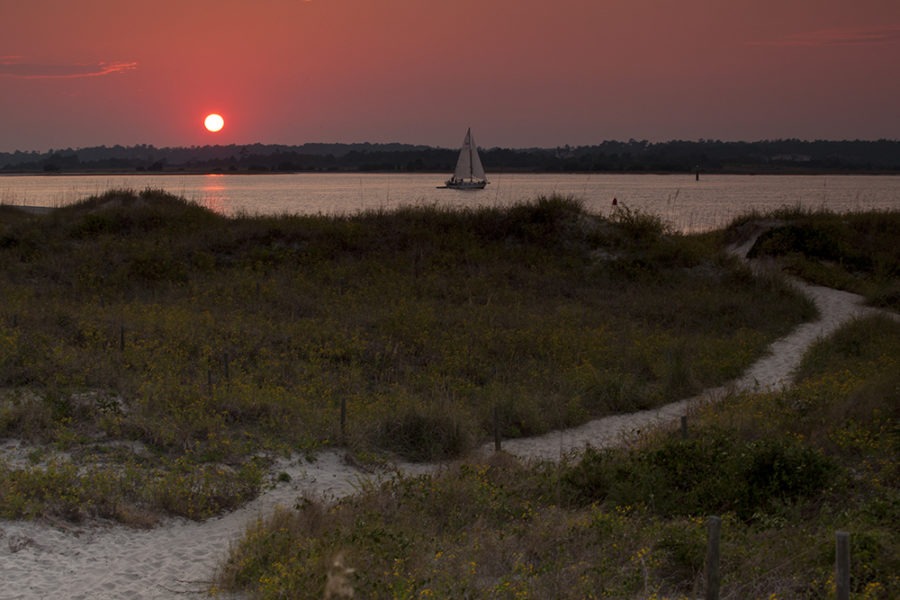 "Sunset Path" Coastal Art by EDA Surf