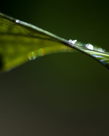 droplet sparkle art