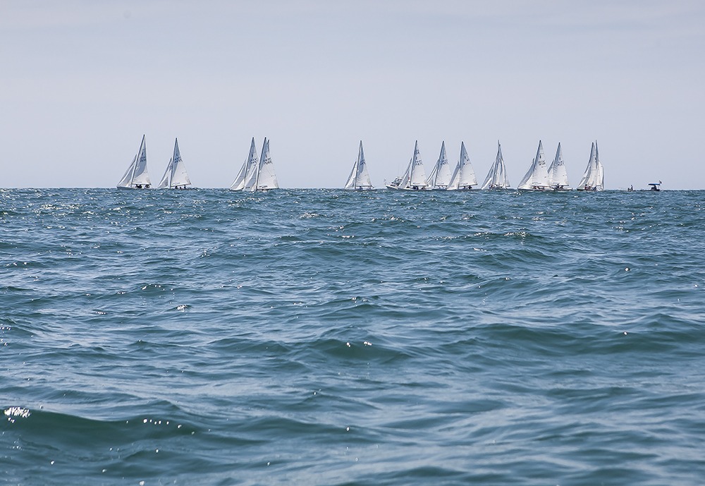 regatta of summer coastal art