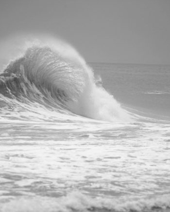 Fan Wave Black and White Surf Photography