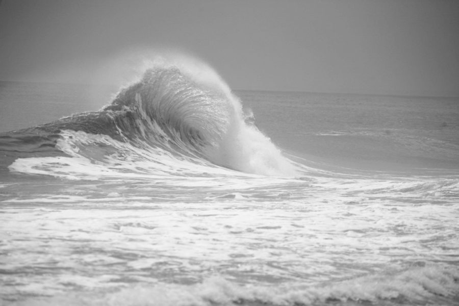 Fan Wave Black and White Surf Photography