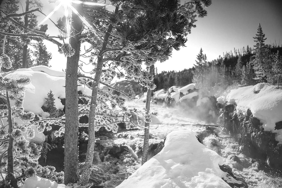 Winter Paradise Black and White Photography